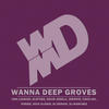 DJ Dennis Wanna Deep Grooves