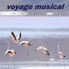 Axiom Voyage musical