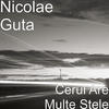Nicolae Guta Cerul Are Multe Stele - Single