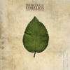 The Boxer Rebellion Step Out of the Car - Single