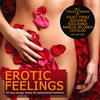 Rodrigo Sanchez Erotic Feelings - 30 Sexy Lounge Tracks for Passionated Moments