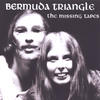 Bermuda Triangle The Missing Tapes