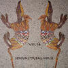 Akmusique Sensual Tribal House #14