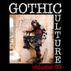 Reliquary Gothic Culture, Vol. 3 - 20 Darkwave & Industrial Tracks