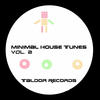 Flash Minimal House Tunes, Vol. 2