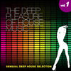 South Spirit The Deep Pleasure of House Music, Vol. 1 (Sensual Deep House Selection)