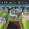 Dee Dee Ramone New Prohibition