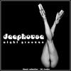 Chill Groovers Deep House: Night Grooves