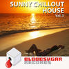 Singas Project Sunny Chillout House, Vol. 3