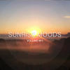 Chris Le Blanc Sunrise Moods, Vol. 1 (Best Chill out Tunes for Morning Hours)