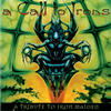 Morgion A Call to Irons: A Tribute To Iron Maiden
