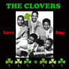 Clovers Love Bug