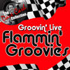 Flamin` Groovies Groovin` Live - (The Dave Cash Collection)
