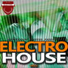 Thomas Gold Electro House, Vol. 2