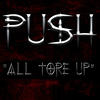 Push All Tore Up - Single