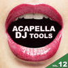 Christian Hornbostel Acapella DJ Tools, Vol. 12