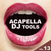 Christian Hornbostel Acapella DJ Tools, Vol. 13