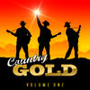 Hank Snow Country Gold Vol 1