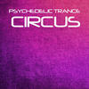 Vortex Psychedelic Trance Circus