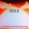 Sole No Wising Up No Settling Down
