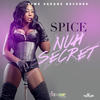 Spice Nuh Secret (Vicki Secret Riddim) - Single