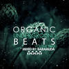 Stefano Noferini Organic Underground Beats, Vol. 2 (Mixed By Baramuda)