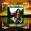 Andy Horace 40 Greatest Hits