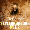 Andy Horace Skylarking Dub Mix 2 - Single