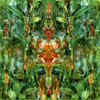 Bill Laswell Emerald Aether: Shape Shifting/Reconstructions of Irish Music