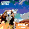 ENIGMA Hawk - Single