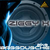 Ziggy X Bassdusche 2K9 (Radio Mixes)