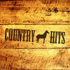 Juice Newton Country Hits