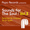 Reel People Papa Records Presents Sounds for the Soul, Vol. 3 (Selected & Compiled by DJ Spen)