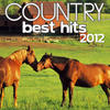Shannon James Country Best Hits 2012
