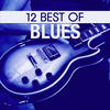 Roy Milton 12 Best of Blues