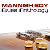 Big Bill Broonzy Mannish Boy Blues Anthology