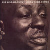 Big Bill Broonzy Big Bill Broonzy Sings Folk Songs