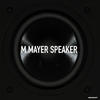 Michael Mayer Speaker - Single