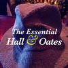 Daryl Hall & John Oates The Essential Hall & Oates