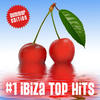 Paper Boy #1 Ibiza Top Hits (Summer Edition)