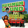 Tarrus Riley Maximum Sound 2012