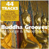 Ion Buddha Grooves - 44 Lounge & Chillout Tracks