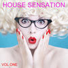 Stephanie Cooke House Sensation, Vol. 1 (Selected By Paolo Madzone Zampetti)