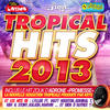 Admiral T Tropical Hits 2013