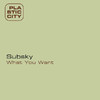 Subsky What U Want - EP