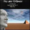 Pink Floyd Pigs & Pyramids