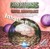 Next Logic Virtual Audio Project: Into the Brain