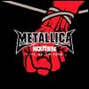 METALLICA Rock Am Ring [CD 1]