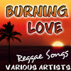 Ernest Ranglin Burning Love: Reggae Songs