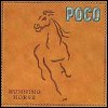 Poco Running Horse